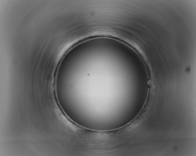 X0000112890799200908281659