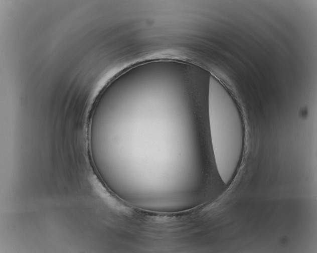 X0000112890800200908281659