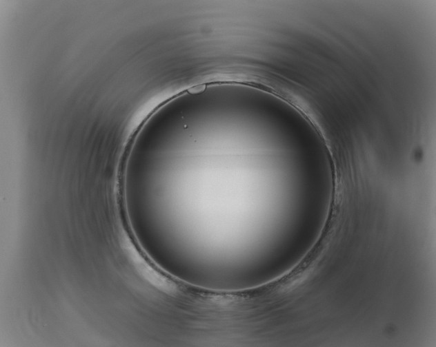 X0000112890803200908281659