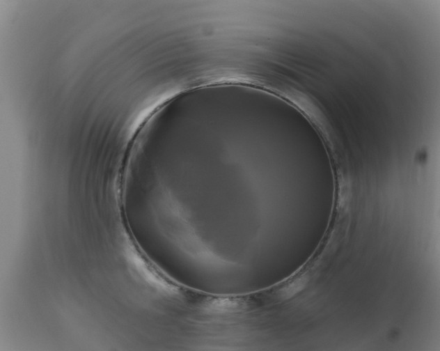 X0000112890806200908281659