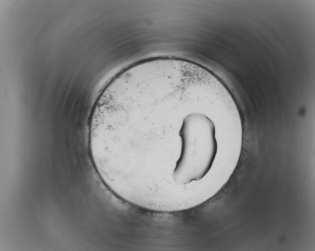 X0000112890807200908281659