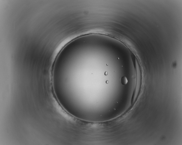 X0000112890808200908281659