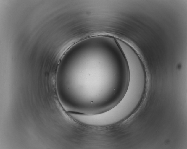 X0000112890809200908281659