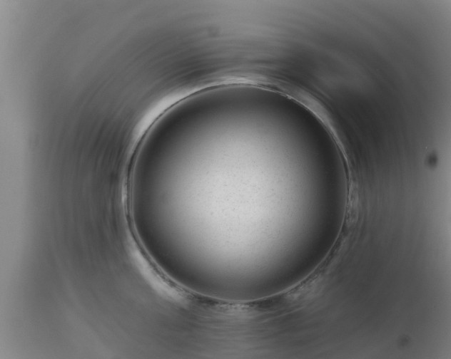X0000112890811200908281659