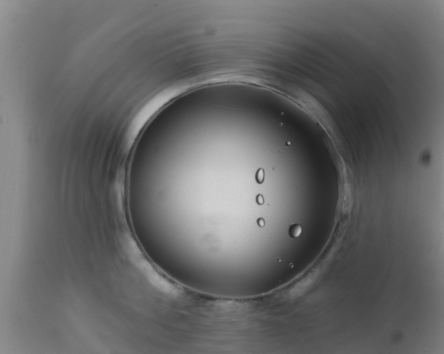 X0000112890812200908281659