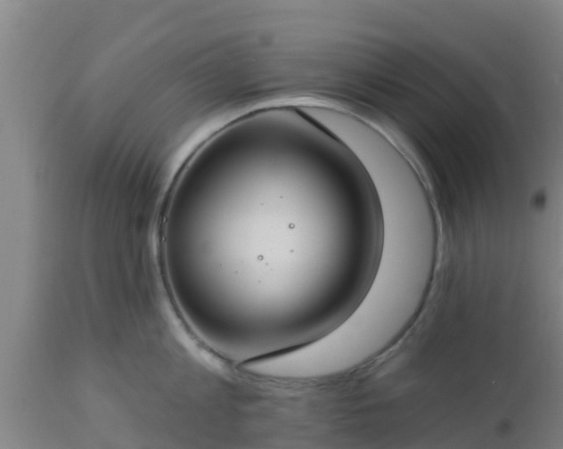 X0000112890813200908281659