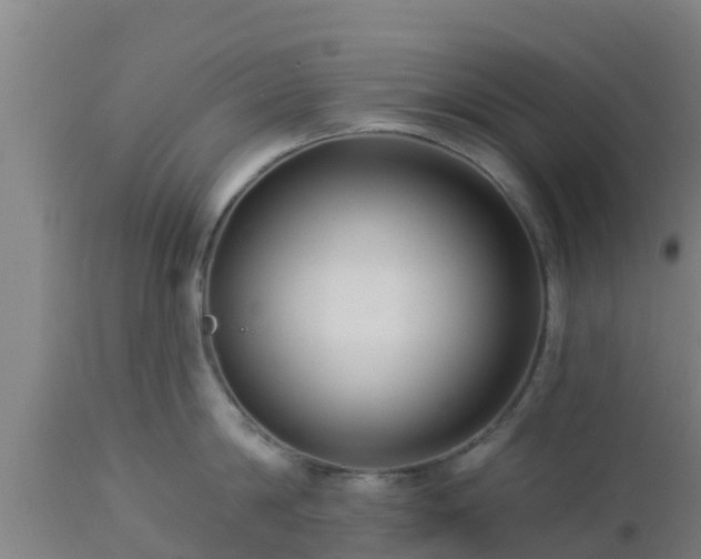 X0000112890814200908281659