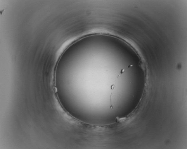 X0000112890815200908281659