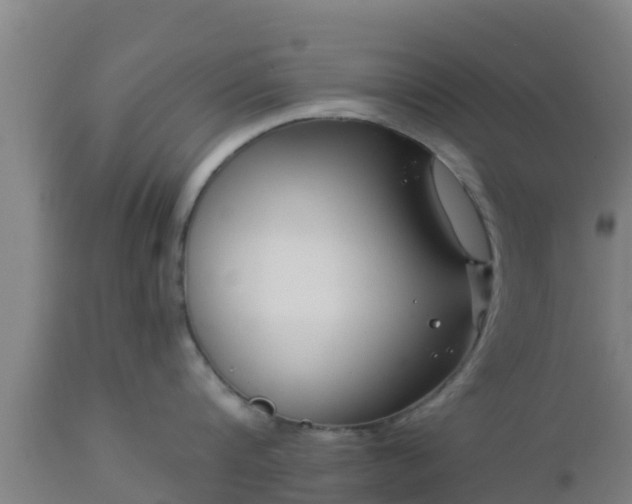 X0000112890816200908281659