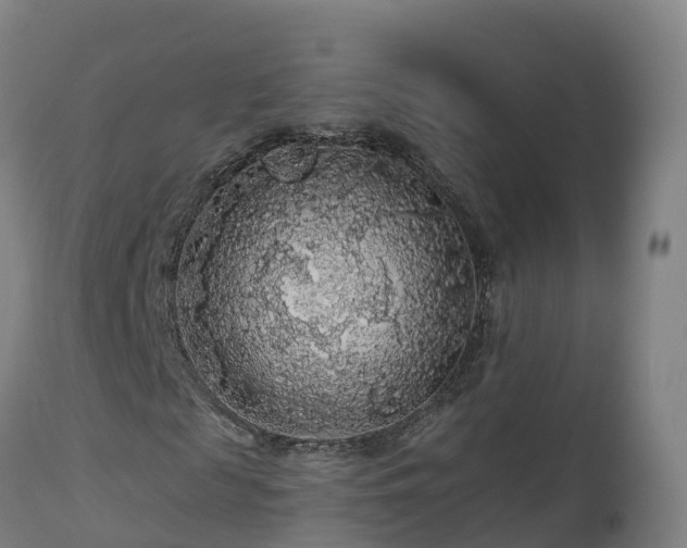 X0000112890817200908281658