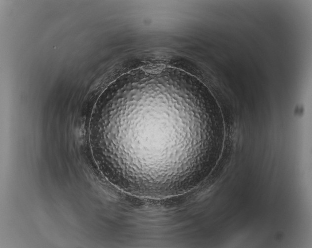 X0000112890818200908281658