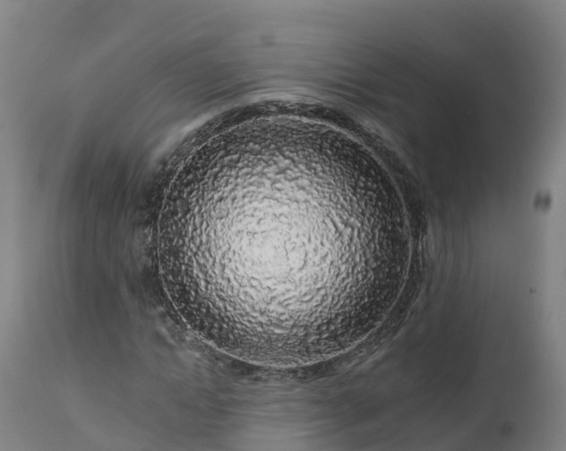 X0000112890822200908281658