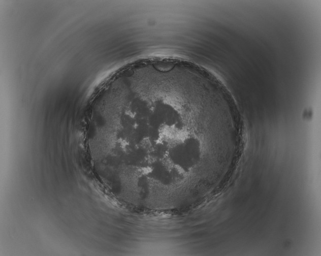 X0000112890823200908281658