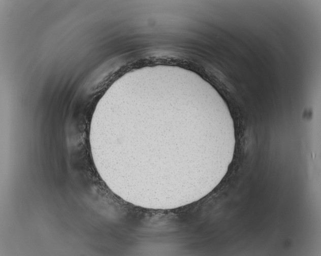 X0000112890824200908281658