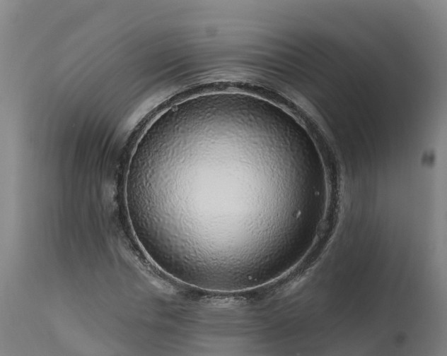 X0000112890826200908281658