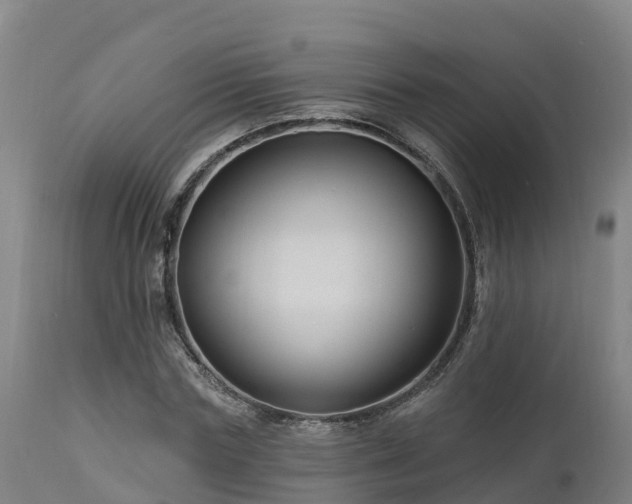 X0000112890827200908281658