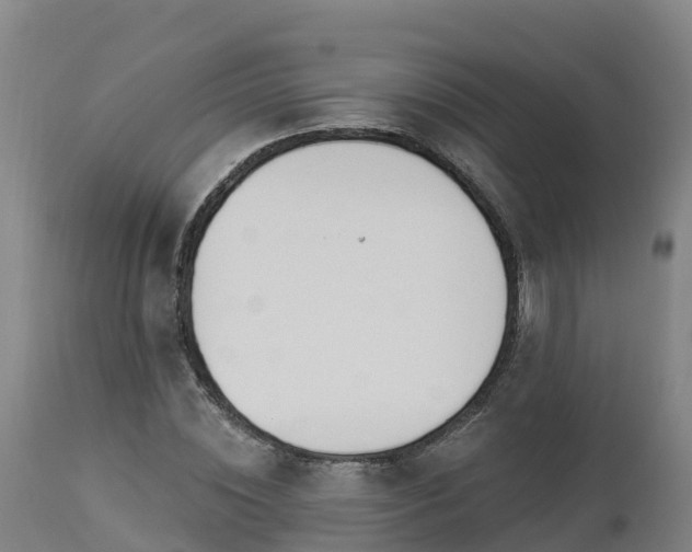 X0000112890828200908281658