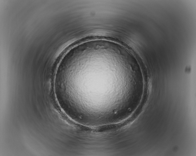 X0000112890829200908281658