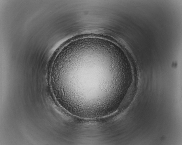 X0000112890830200908281658