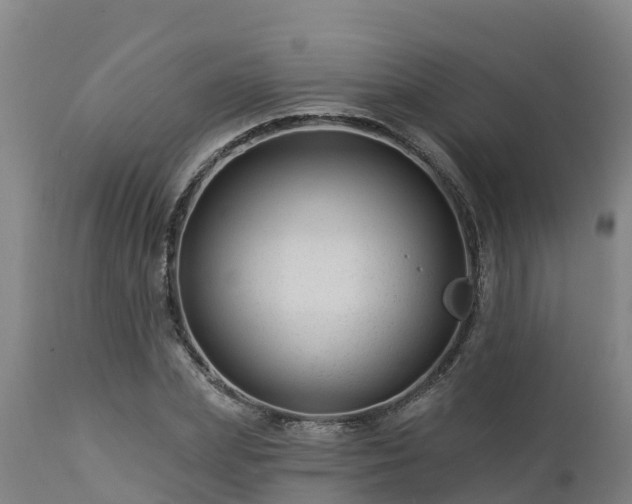 X0000112890831200908281658