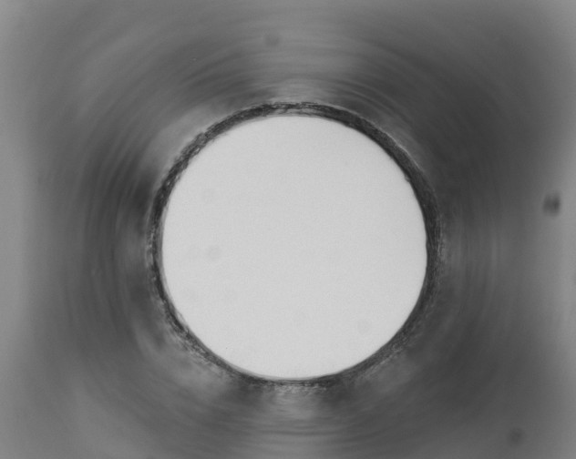 X0000112890832200908281658