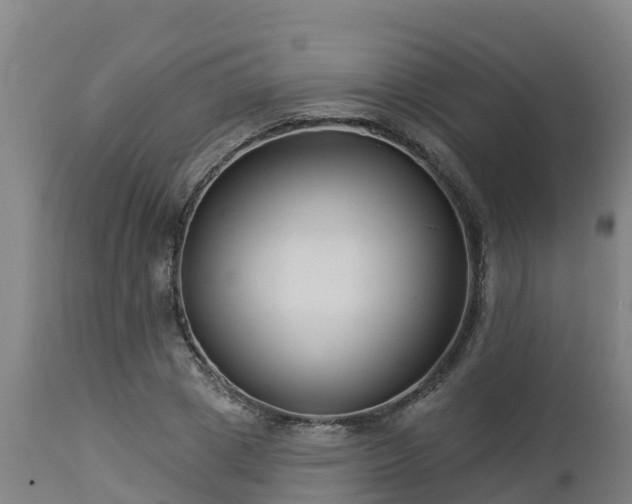 X0000112890833200908281658