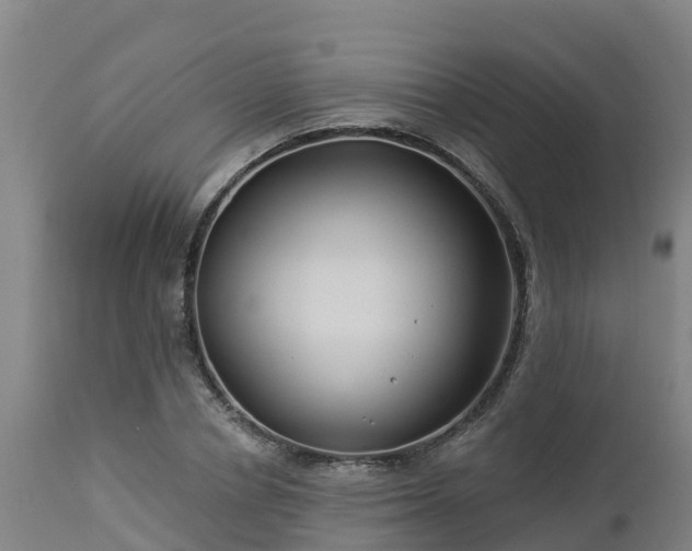 X0000112890834200908281658