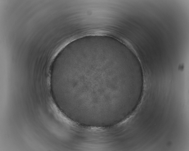 X0000112890835200908281658