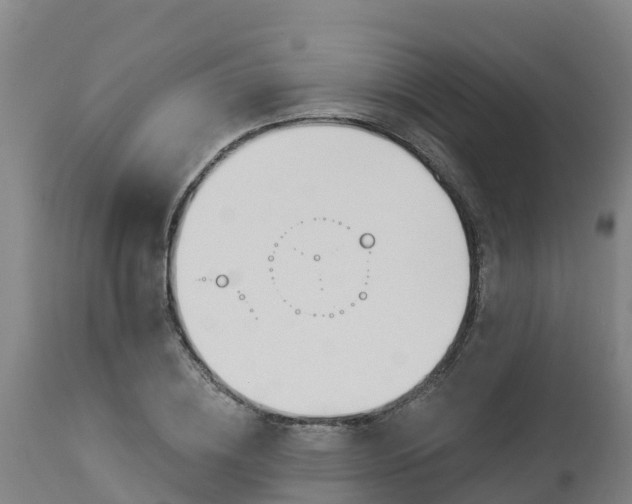 X0000112890836200908281658