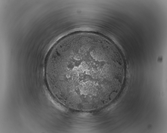 X0000112890837200908281658