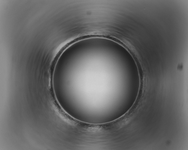 X0000112890838200908281658