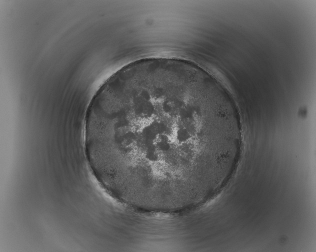 X0000112890839200908281658