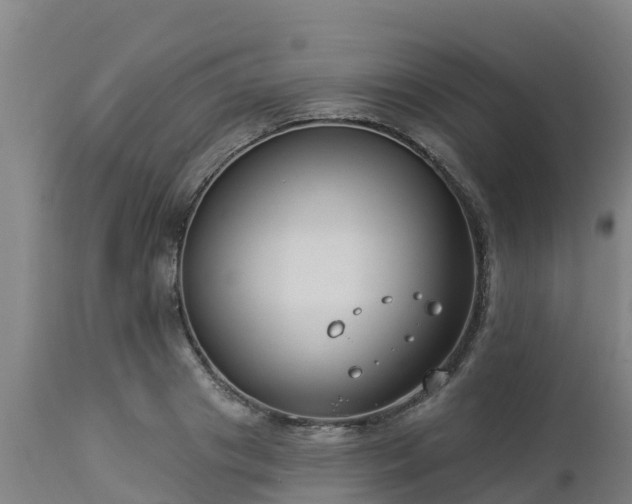 X0000112890841200908281658