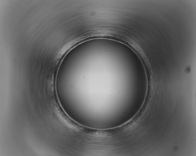 X0000112890842200908281658