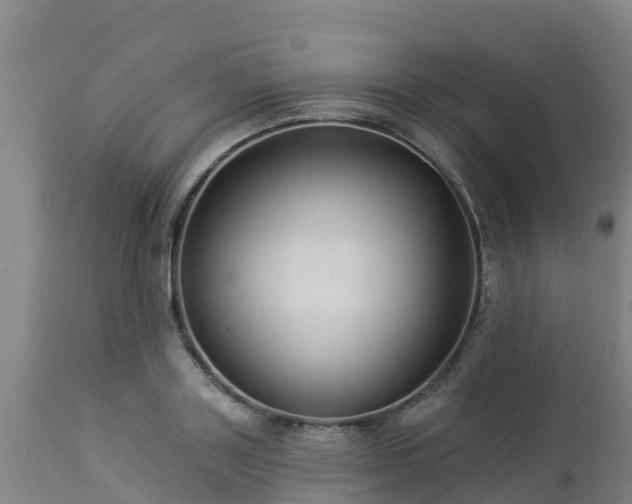 X0000112890843200908281658