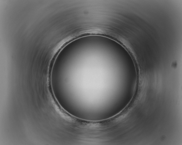 X0000112890845200908281658