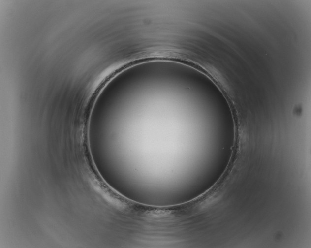X0000112890846200908281658