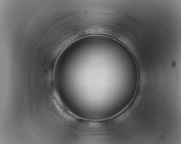 X0000112890849200908281658