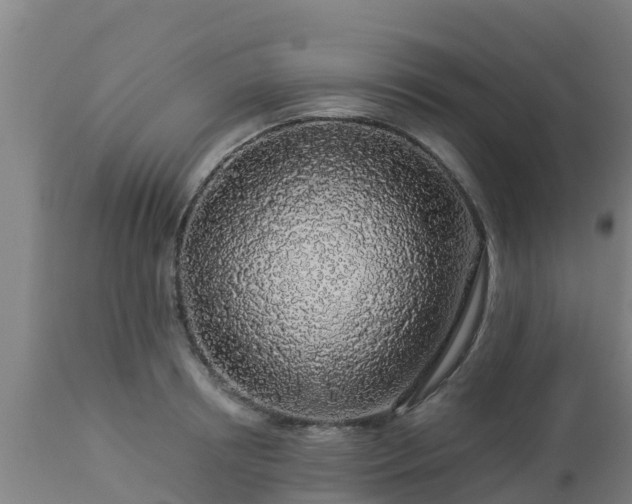 X0000112890850200908281658