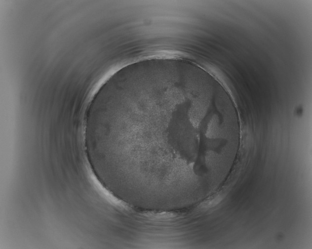 X0000112890851200908281658