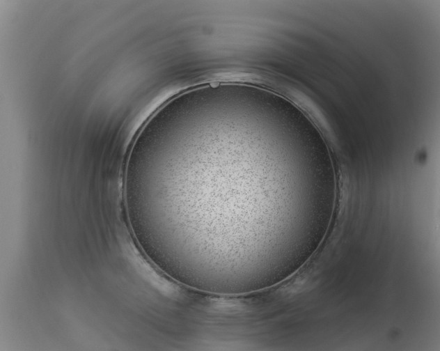 X0000112890852200908281659