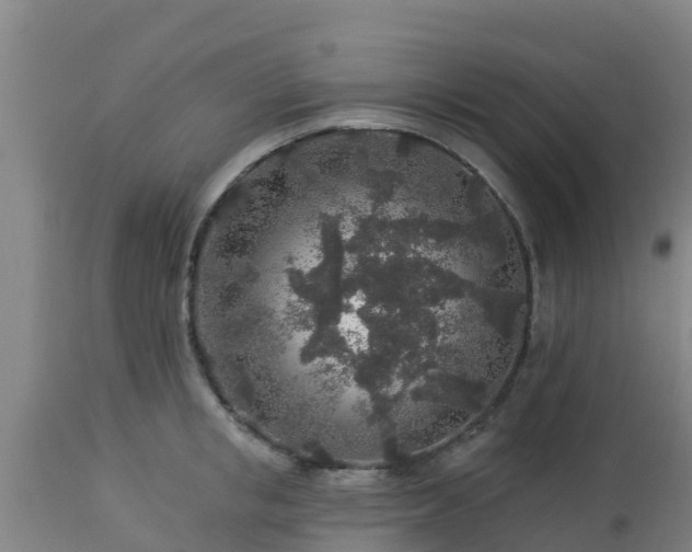 X0000112890853200908281659
