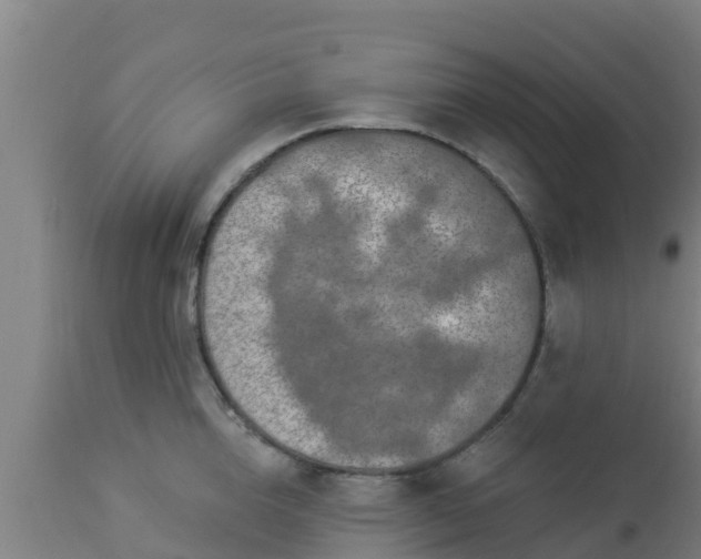 X0000112890856200908281659