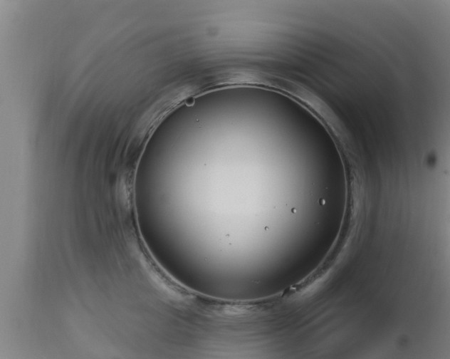 X0000112890857200908281659