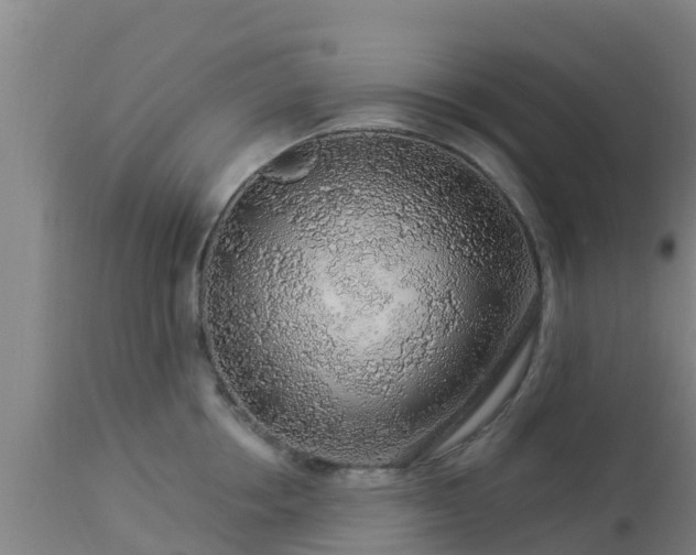 X0000112890858200908281659