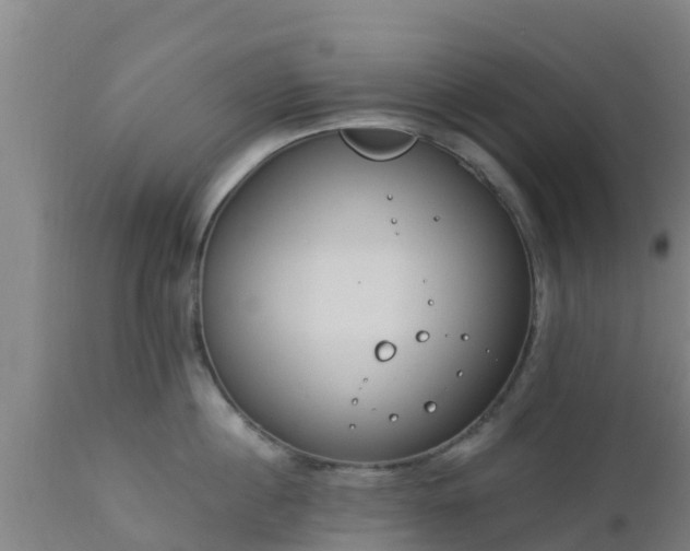 X0000112890860200908281659
