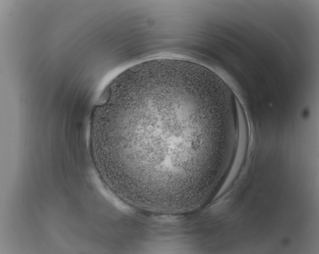 X0000112890862200908281659
