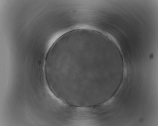 X0000112890863200908281659