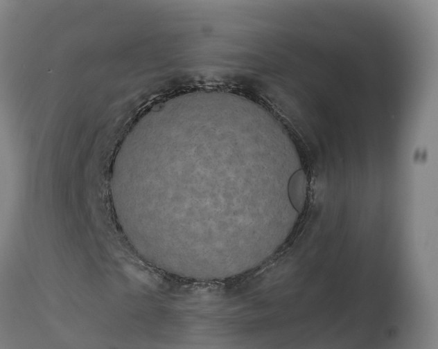 X0000112890865200908281658
