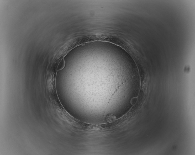 X0000112890866200908281658
